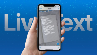 Cách Sử Dụng Tính Năng Live Text Trên iPhone