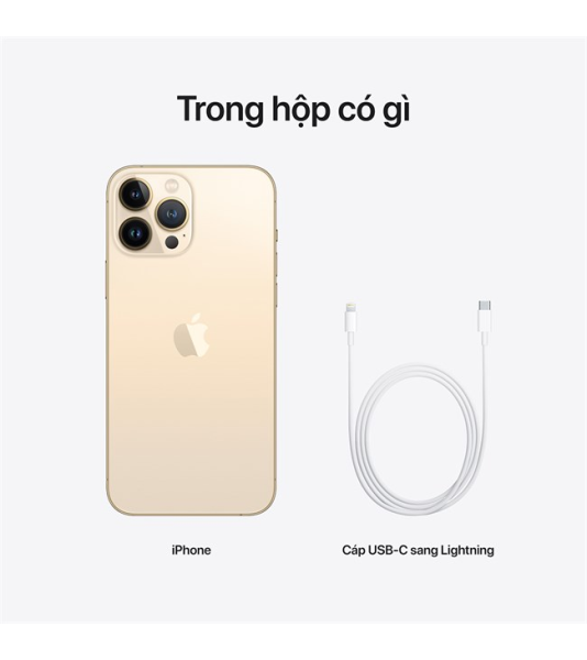 iPhone 13 Pro Max 512GB