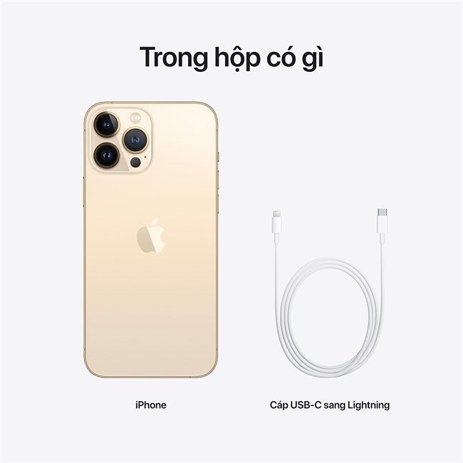 iPhone 13 Pro Max 1tb